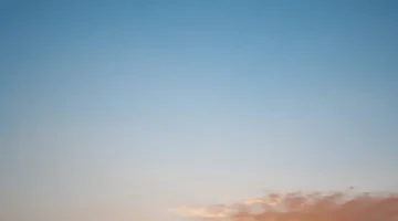 صرف الدفعة الجديدة من حساب المواطن يبدأ مع تفاصيل الاعتراض والمهل المحددة للمراجعة